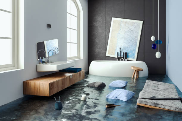 Carpet water damage restoration in Troy, MO