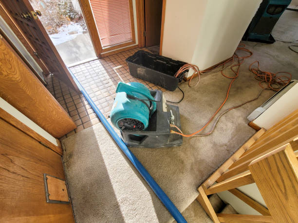 Best Professional water damage repair  in Troy, MO