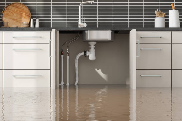 Best Water damage restoration process  in Troy, MO